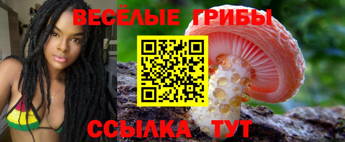 Псилоцибиновые грибы мицелий  Вход с VPN  Большой Камень 