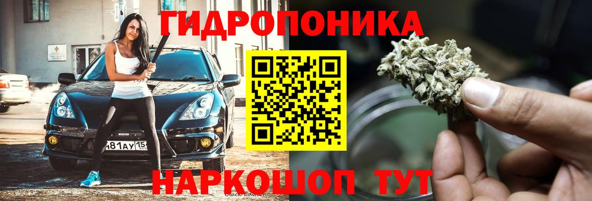 Конопля индика  Вход с VPN  Большой Камень  Каннабис планчик  Бошки Шишки тримм 